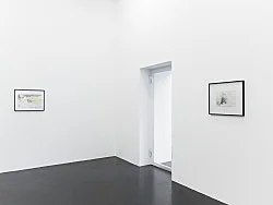 Allô allô mein Hitlir, you na3se — Katharina Wulff — Exhibitions — Galerie Buchholz — Image 35