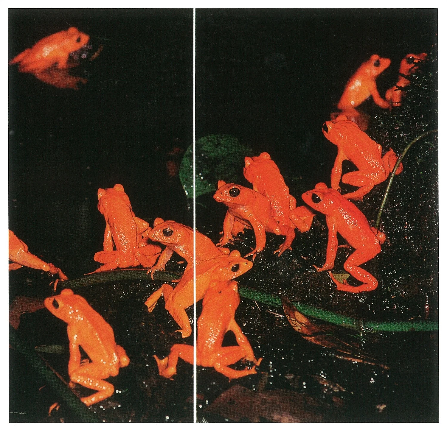 Fence Romance — Thomas Eggerer — Exhibitions — Galerie Buchholz — Image 01