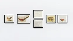 Works on Paper 1966-2008 — Morgan Fisher — Exhibitions — Galerie Buchholz — Image 64