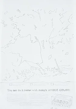 Color Balance Photogenic Drawings — Morgan Fisher — Exhibitions — Galerie Buchholz — Image 21