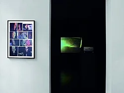 DEAD or ALIVE — Mark Leckey — Exhibitions — Galerie Buchholz — Image 23