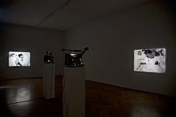 Re-Framing Creatures — Tony Conrad — Exhibitions — Galerie Buchholz — Image 21