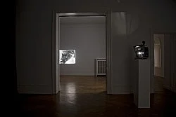 Re-Framing Creatures — Tony Conrad — Exhibitions — Galerie Buchholz — Image 29