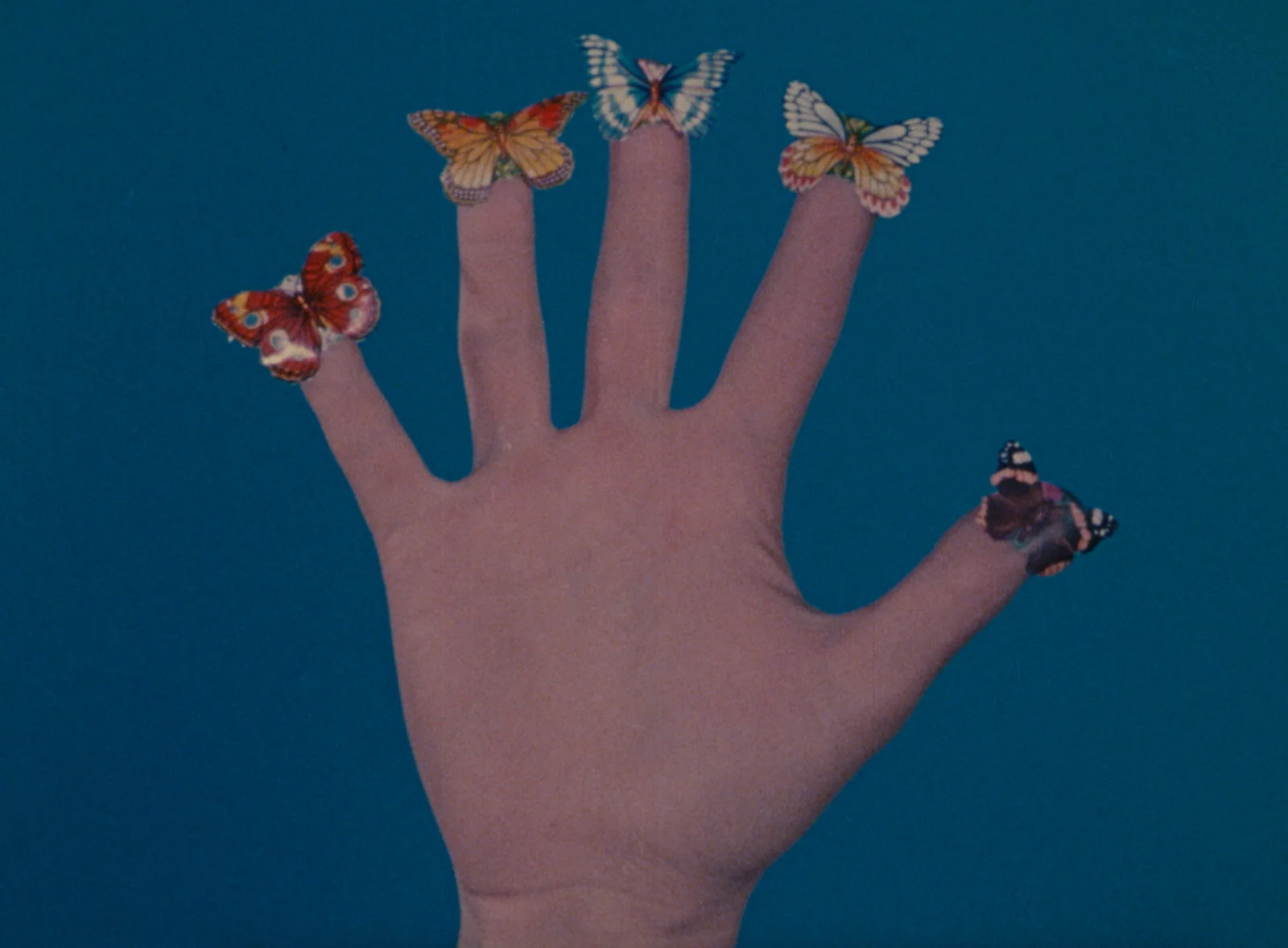 Films, Records and Paintings 1974-19828243 — Jack Goldstein — Exhibitions — Galerie Buchholz — Image 11