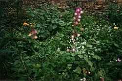 Quodlibet II — Tomma Abts, Tony Conrad, Mark Leckey, Patrick Procktor, Vincent Fecteau, Marcus Behmer, Alice Horodisch-Garnman,... — Exhibitions — Galerie Buchholz — Image 111