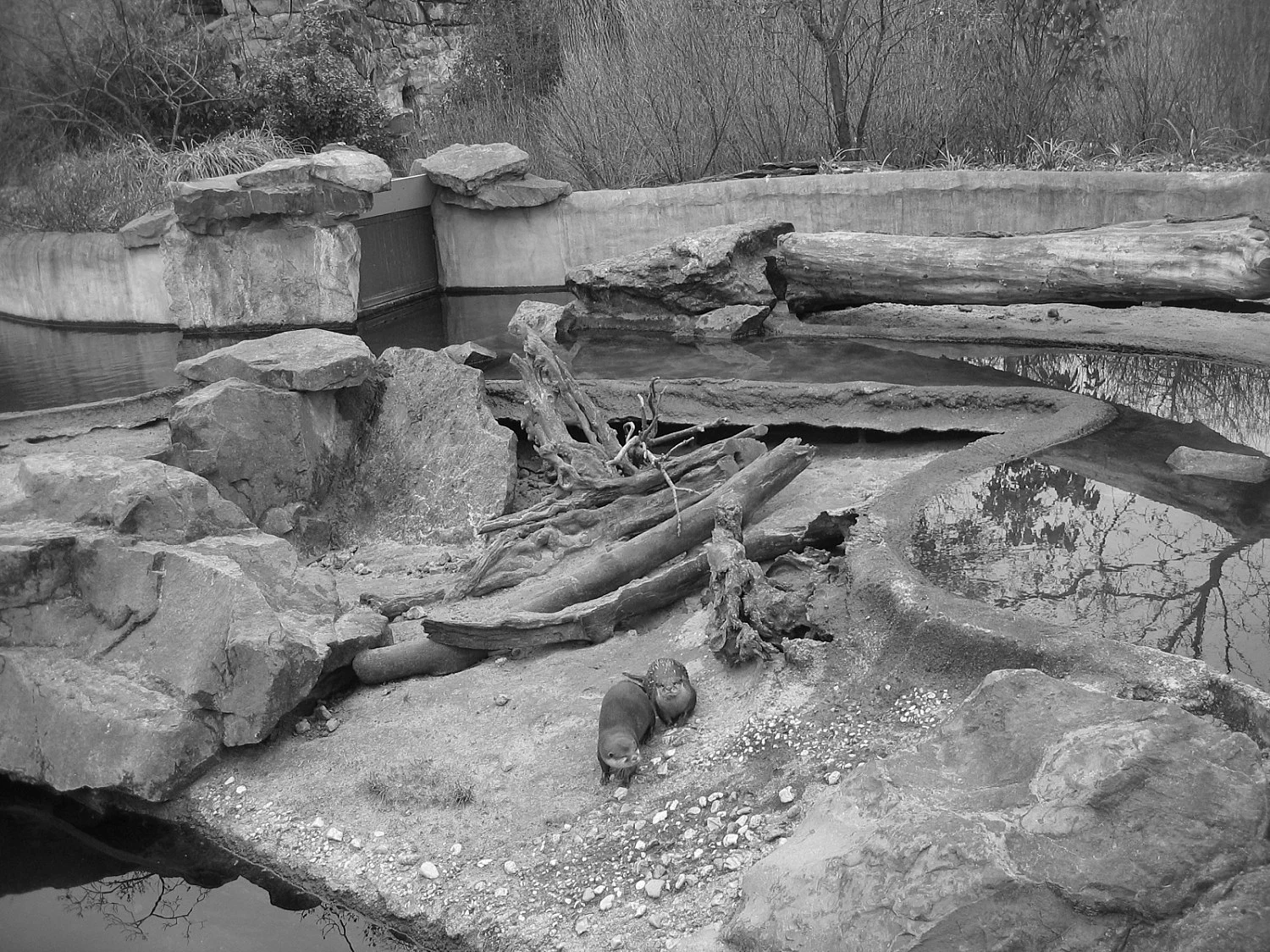 Quodlibet II — Tomma Abts, Tony Conrad, Mark Leckey, Patrick Procktor, Vincent Fecteau, Marcus Behmer, Alice Horodisch-Garnman,... — Exhibitions — Galerie Buchholz — Image 57