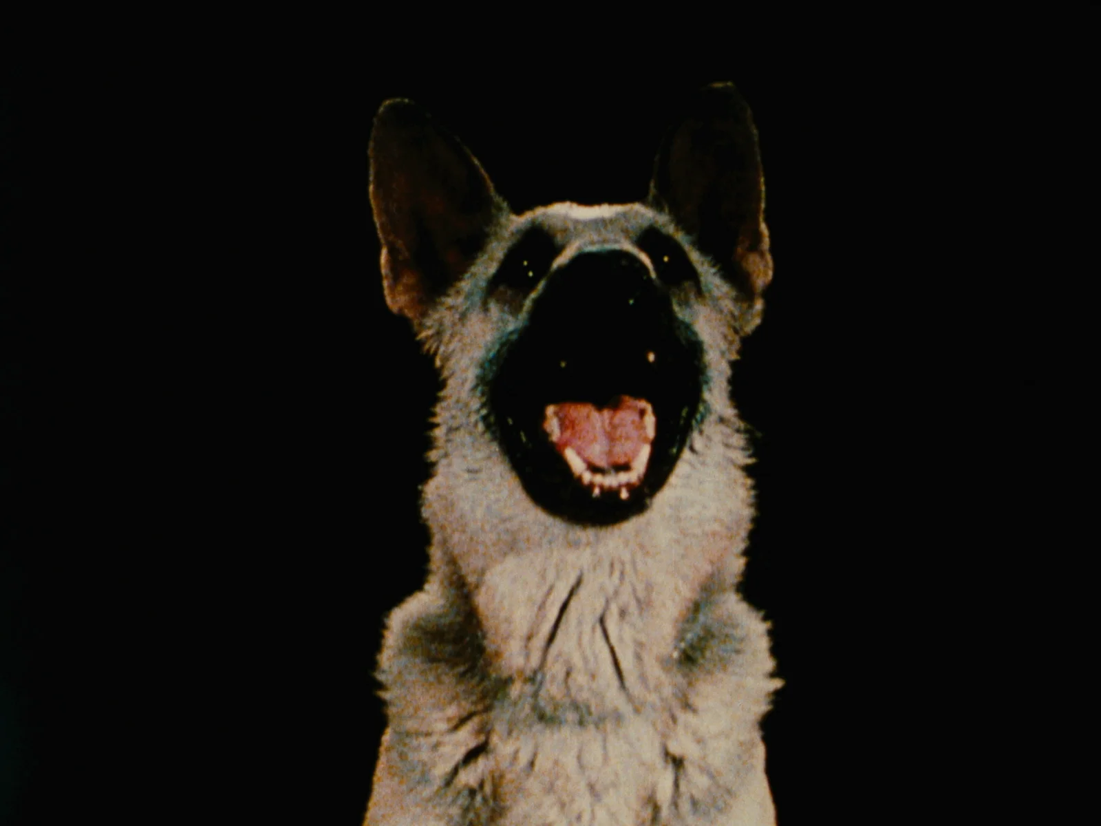 Films, Records and Paintings 1974-19828243 — Jack Goldstein — Exhibitions — Galerie Buchholz — Image 36