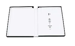 Jack Goldstein 2009 — Jack Goldstein — Exhibitions — Galerie Buchholz — Image 35