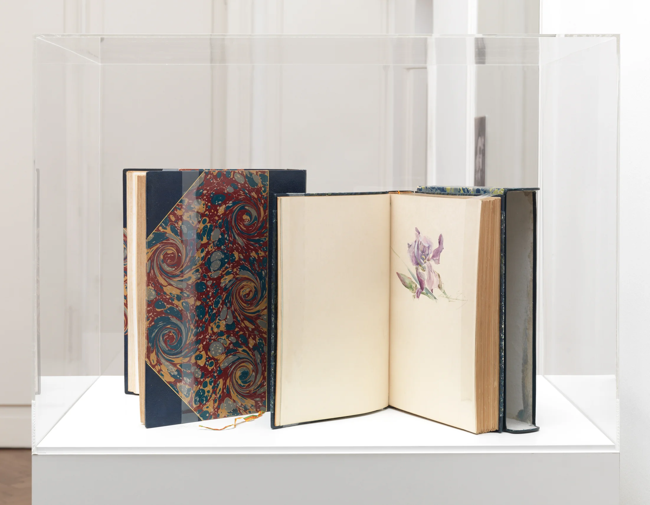 The President of the Republic of Dreams curated by François Piron — Raymond Roussel — Exhibitions — Galerie Buchholz — Image 13