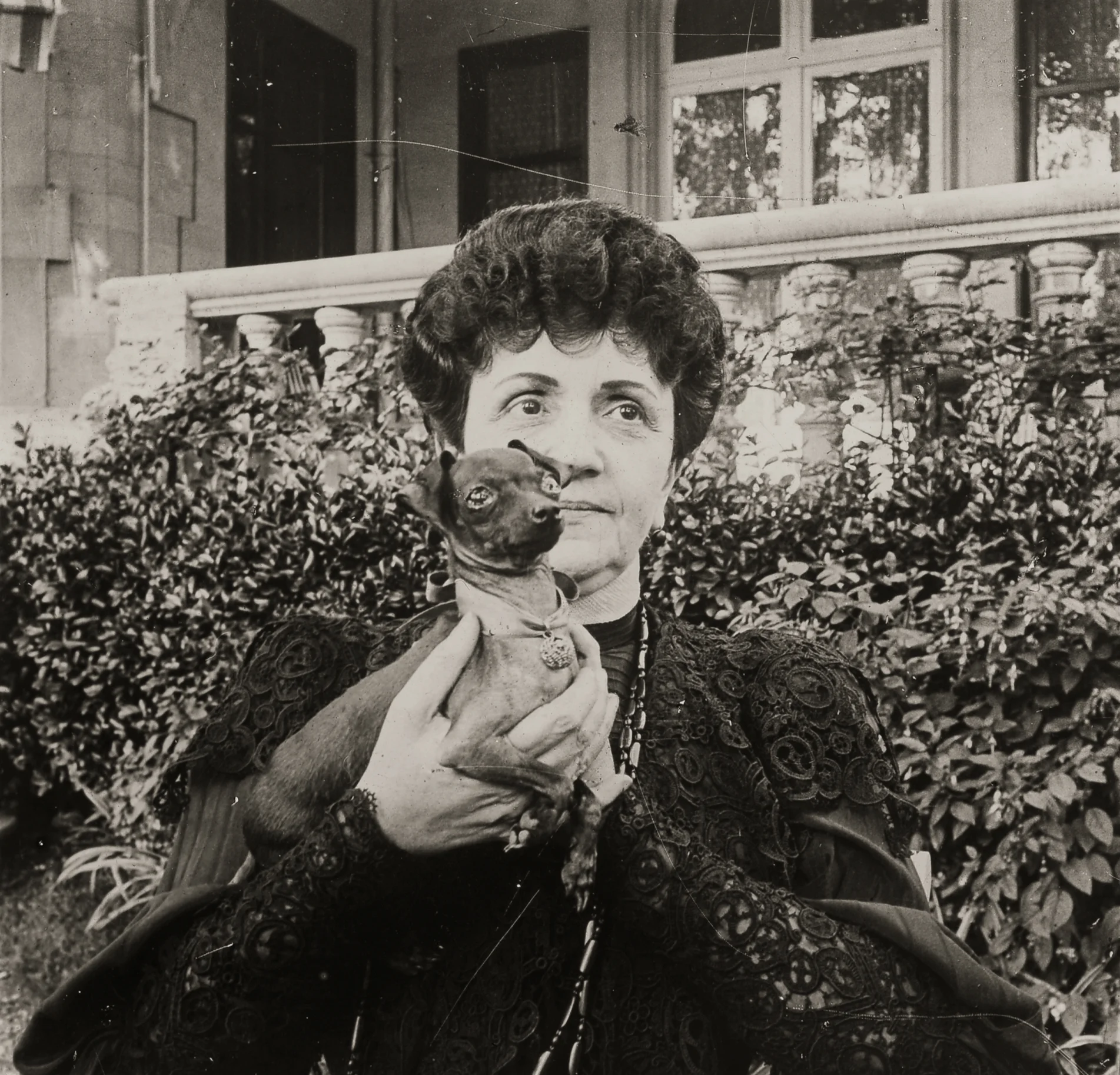 The President of the Republic of Dreams curated by François Piron — Raymond Roussel — Exhibitions — Galerie Buchholz — Image 82