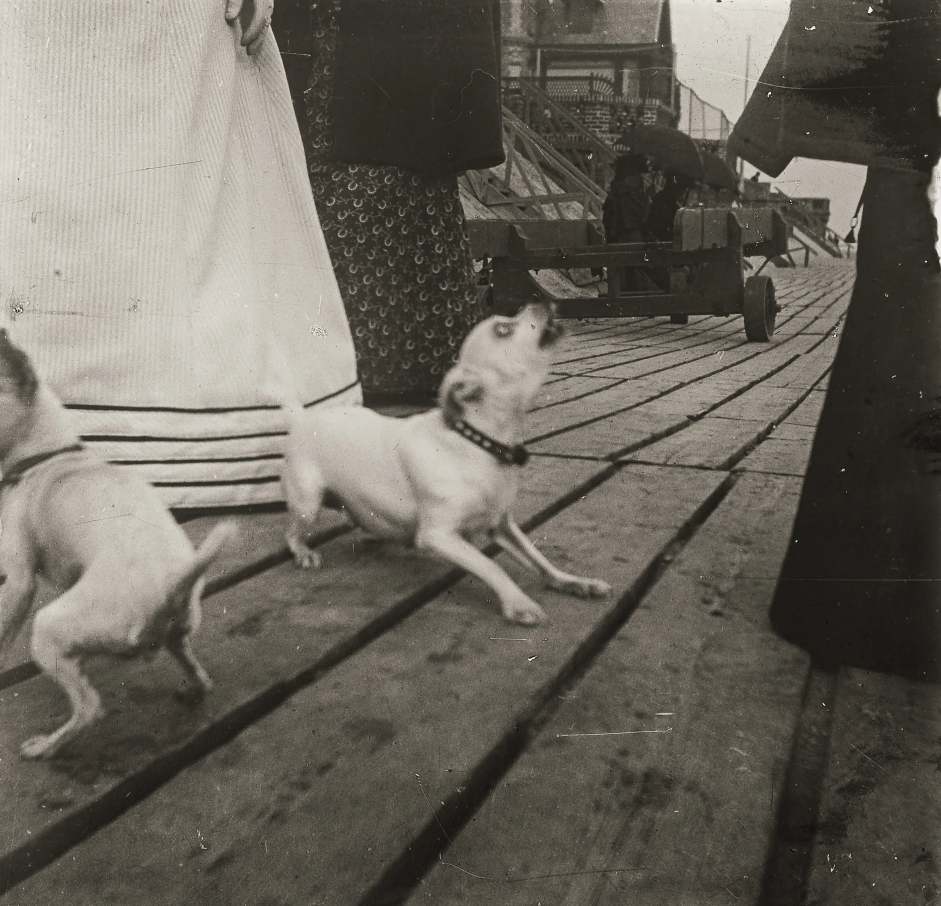 The President of the Republic of Dreams curated by François Piron — Raymond Roussel — Exhibitions — Galerie Buchholz — Image 87