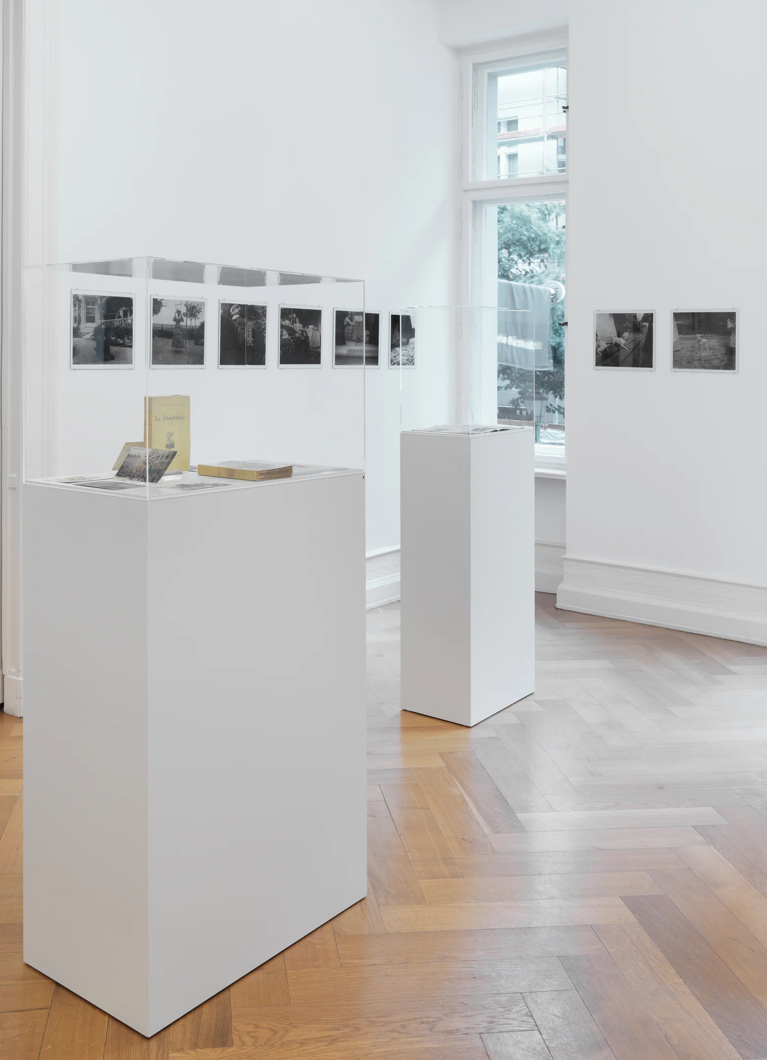 The President of the Republic of Dreams curated by François Piron — Raymond Roussel — Exhibitions — Galerie Buchholz — Image 25