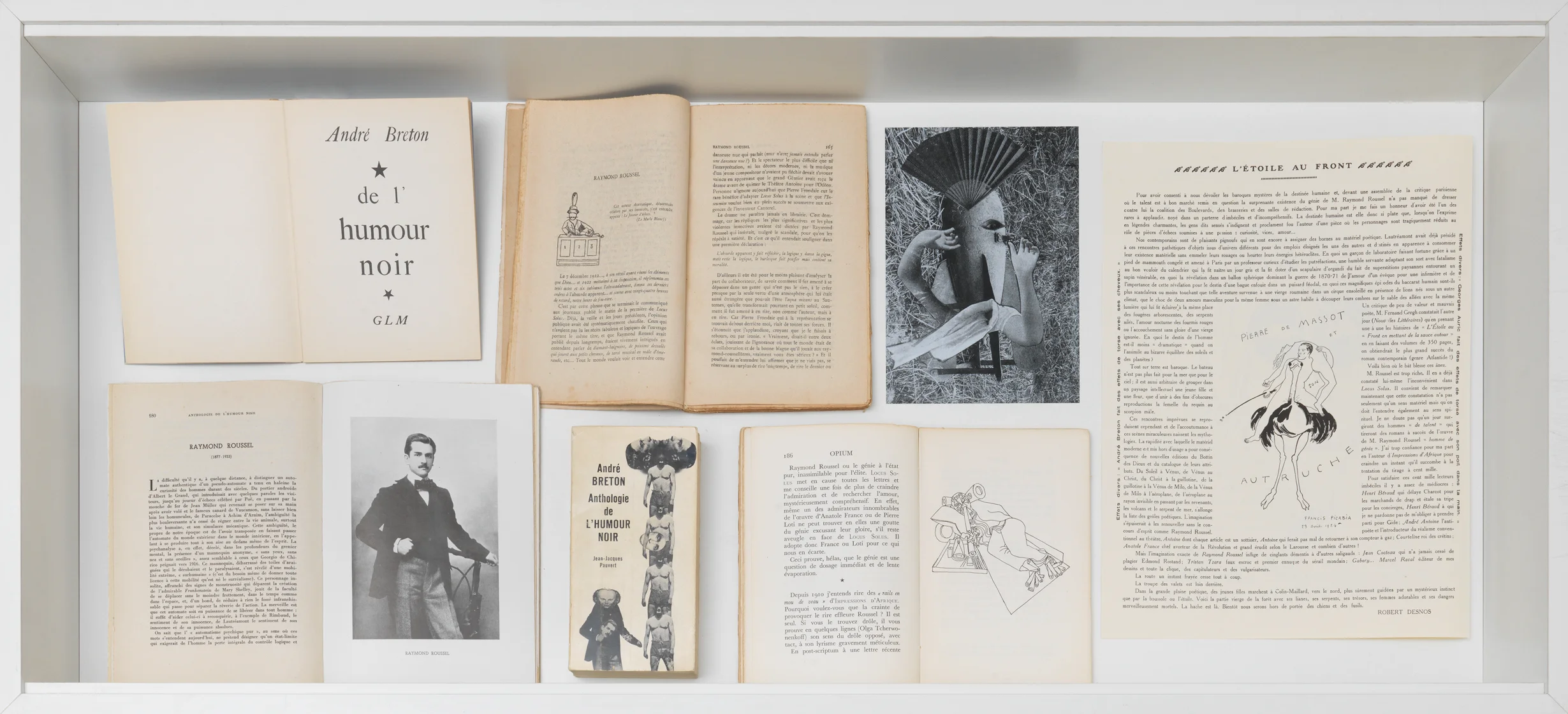 The President of the Republic of Dreams curated by François Piron — Raymond Roussel — Exhibitions — Galerie Buchholz — Image 64