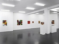 Exhibition curated by Yve-Alain Bois — Christophe Verfaille — Exhibitions — Galerie Buchholz — Image 28