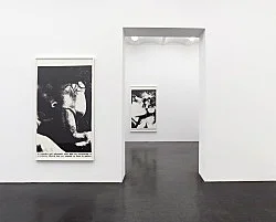Sex with Strangers, 1986 — Lutz Bacher — Exhibitions — Galerie Buchholz — Image 34
