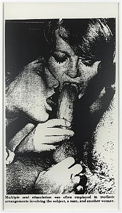 Sex with Strangers, 1986 — Lutz Bacher — Exhibitions — Galerie Buchholz — Image 36