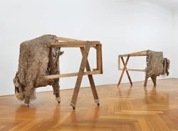 Homer — Lutz Bacher — Exhibitions — Galerie Buchholz — Image 81