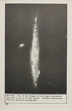 Sex with Strangers, 1986 — Lutz Bacher — Exhibitions — Galerie Buchholz — Image 42