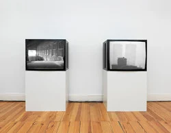 Homer — Lutz Bacher — Exhibitions — Galerie Buchholz — Image 88