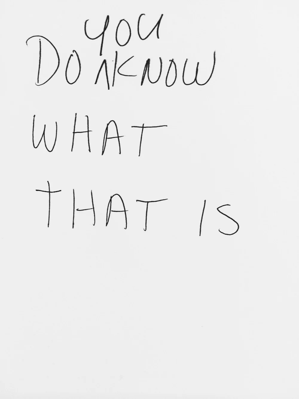 Homer — Lutz Bacher — Exhibitions — Galerie Buchholz — Image 10