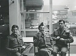 Homer — Lutz Bacher — Exhibitions — Galerie Buchholz — Image 66