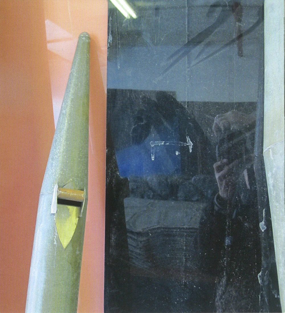 Lutz Bacher Elisen 2014 — Lutz Bacher — Exhibitions — Galerie Buchholz — Image 01