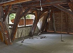 Gustavs Wing — Danh Vo — Exhibitions — Galerie Buchholz — Image 12