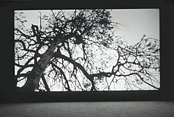 Expressive Rhythm — Florian Pumhösl — Exhibitions — Galerie Buchholz — Image 06