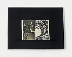 Expressive Rhythm — Florian Pumhösl — Exhibitions — Galerie Buchholz — Image 07