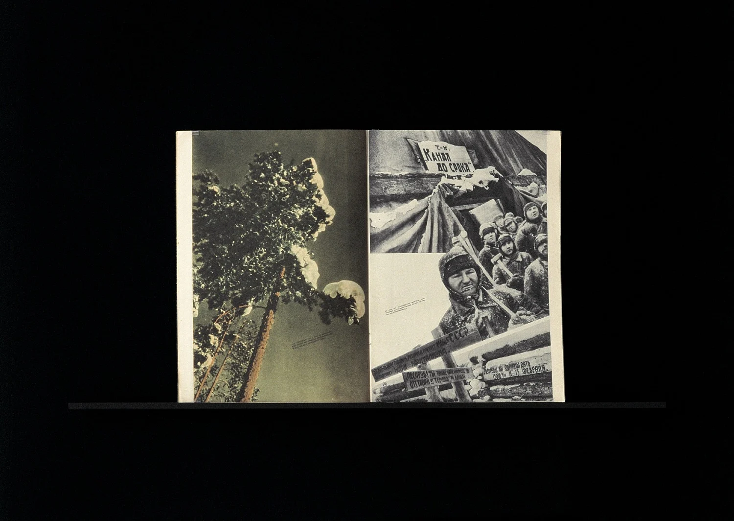 Expressive Rhythm — Florian Pumhösl — Exhibitions — Galerie Buchholz — Image 01