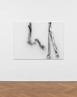 Systemic Relevance — Michael Krebber — Exhibitions — Galerie Buchholz — Image 62