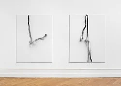 Systemic Relevance — Michael Krebber — Exhibitions — Galerie Buchholz — Image 36