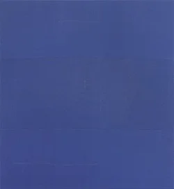 We not — Cosima von Bonin Sergej Jensen Michael Krebber — Exhibitions — Galerie Buchholz — Image 49