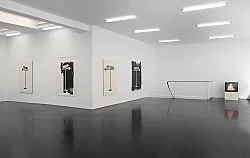 CleverStupid — Frances Stark — Exhibitions — Galerie Buchholz — Image 77