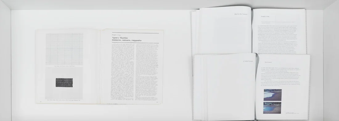 Pictures, Before and After An Exhibition for Douglas Crimp — Daniel Buren, Charles James, Antonio Lopez, Agnes Martin, Joseph Cornell, Robert Smithson, The Cockettes, Jack Smith,... — Exhibitions — Galerie Buchholz — Image 21