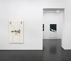 CleverStupid — Frances Stark — Exhibitions — Galerie Buchholz — Image 60