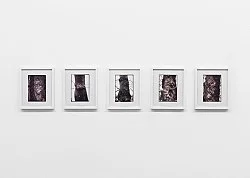 Pictures, Before and After An Exhibition for Douglas Crimp — Daniel Buren, Charles James, Antonio Lopez, Agnes Martin, Joseph Cornell, Robert Smithson, The Cockettes, Jack Smith,... — Exhibitions — Galerie Buchholz — Image 165