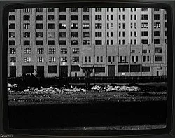 Pictures, Before and After An Exhibition for Douglas Crimp — Daniel Buren, Charles James, Antonio Lopez, Agnes Martin, Joseph Cornell, Robert Smithson, The Cockettes, Jack Smith,... — Exhibitions — Galerie Buchholz — Image 142