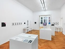 Pictures, Before and After An Exhibition for Douglas Crimp — Daniel Buren, Charles James, Antonio Lopez, Agnes Martin, Joseph Cornell, Robert Smithson, The Cockettes, Jack Smith,... — Exhibitions — Galerie Buchholz — Image 171