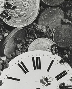 Pictures, Before and After An Exhibition for Douglas Crimp — Daniel Buren, Charles James, Antonio Lopez, Agnes Martin, Joseph Cornell, Robert Smithson, The Cockettes, Jack Smith,... — Exhibitions — Galerie Buchholz — Image 170