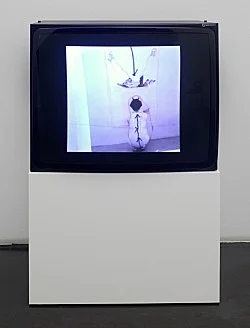 CleverStupid — Frances Stark — Exhibitions — Galerie Buchholz — Image 64