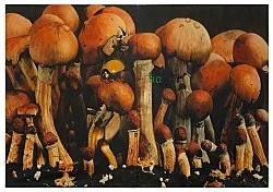 Bilder und Zeichnungen 1983-1992 — Udo Lefin — Exhibitions — Galerie Buchholz — Image 31