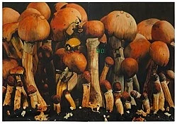 Bilder und Zeichnungen 1983-1992 — Udo Lefin — Exhibitions — Galerie Buchholz — Image 29