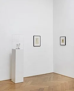 Elie Nadelman Berlin 2015 — Elie Nadelman — Exhibitions — Galerie Buchholz — Image 131