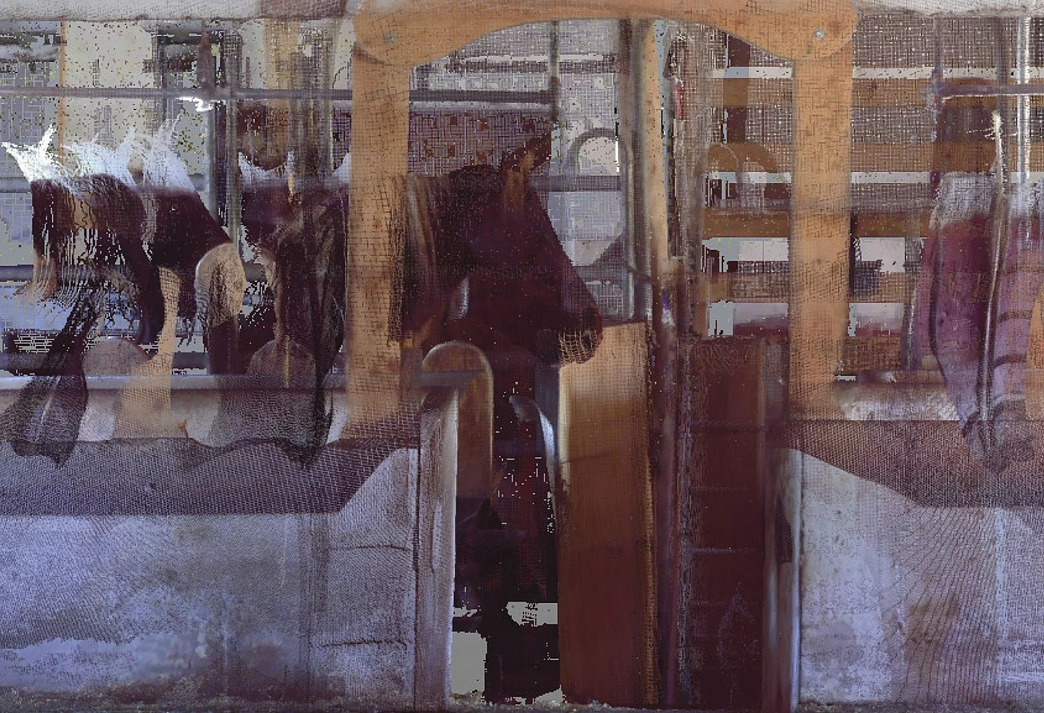 The Dross of It All The Loss of It All — Loretta Fahrenholz — Exhibitions — Galerie Buchholz — Image 01