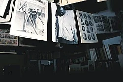 Wolfgang Tillmans - Buchholz Buchholz 1993 — Wolfgang Tillmans — Exhibitions — Galerie Buchholz — Image 46