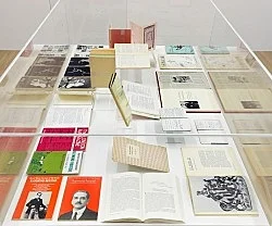 Raymond Roussel New York 2015 — Raymond Roussel — Exhibitions — Galerie Buchholz — Image 223