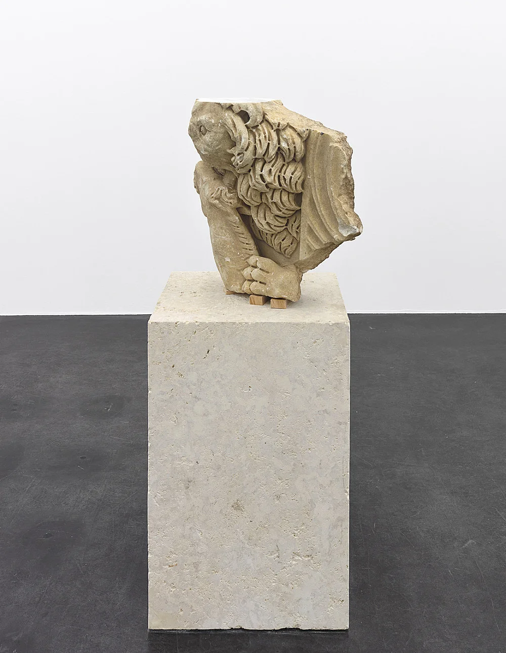 Danh Vo Peter Hujar, Köln 2015 — Danh Vo Peter Hujar — Exhibitions — Galerie Buchholz — Image 13