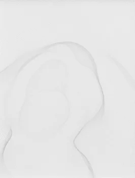 Chambered Shells and Birdwings — Cheyney Thompson — Exhibitions — Galerie Buchholz — Image 15