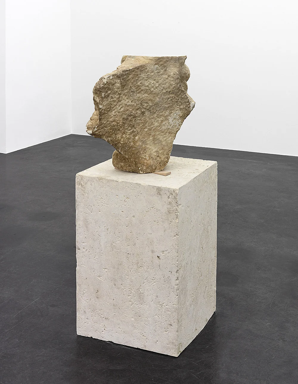 Danh Vo Peter Hujar, Köln 2015 — Danh Vo Peter Hujar — Exhibitions — Galerie Buchholz — Image 15